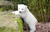 Polar Beary to the rescue !!