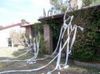 You've Just Been Toilet Papered