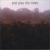 And Also The Trees' first album