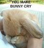 You make Bunny Cry