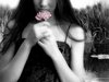 a scent of beauty