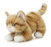 a stuffed cat