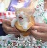 Not a cheeseburger!