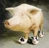 Moo Shoe Pork
