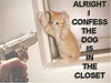 YES ! The Dog is in the closet !