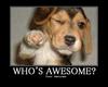 who's awesome ? 