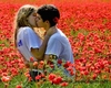 kiss on the flower field