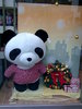 Lovely Panda In China