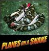 planes on a snake