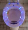 BAMF LED toilet!