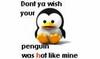 HOT PENGUIN