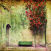 whispers on a park bench~