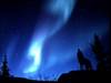 Mysteries of the wolf