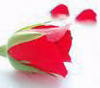 ♥For You♥