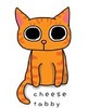 Cheese tabby Cat. :3