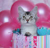 ♥Happy Birthday!♥