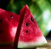 ♥ Watermelon ♥