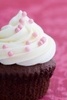 ♥ a vanilla iced cupcake ♥