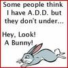 Look a bunny