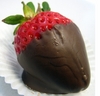 Chocolate strawberry