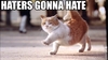 Haters Gonna Hate