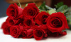 Love from Your Owner♥
