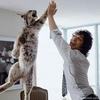 High Five for my pet!!