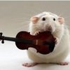 playing a tune for my owner ♫ 
