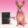 Baby Glam Eau de Parfum for Pets