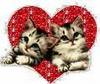 kittens in luv