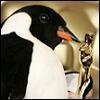a penguin oscar award!