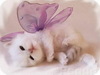 ♥ Enjoy your day ♥