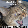 Leave my pets alone!