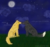 Good Night(Cherish this moment)