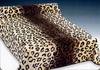 Leopard Print Bed Sheet Set