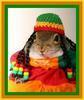 Rastafari squirrel