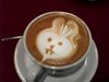 Bunny coffee