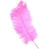 Playful Pink Feather