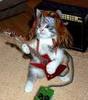 Rock Cat