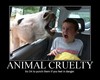 Animal Cruelty