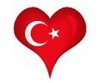 l love turkey