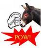 a donkey punch
