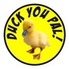 Duck you Pal