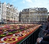 Floral trip to Brussels