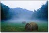 Walk in the Hay Field