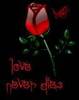 Love Never Dies