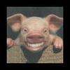 Its a porky smile