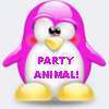 PARTY ANIMAL !!!!!!!!