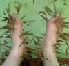 Fish Spa Trip for you and me