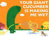a giant cucumber